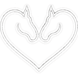 Praktijk paard en mens